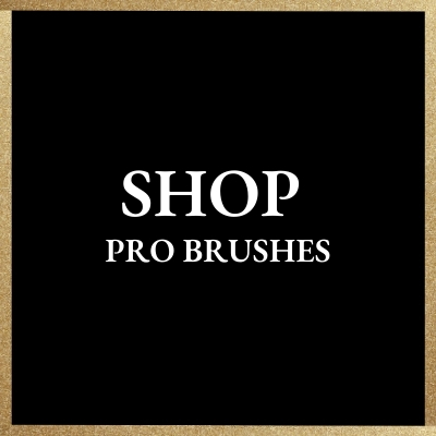 PRO BRUSHES